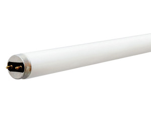 BULB F32T8SP41 ECO GE -  Biloxi, MS