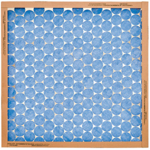 FILTER AIR FURNC 20X30X1 -  Gulf Port, MS