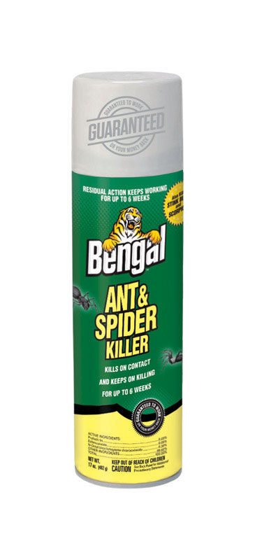 INSECTICDE Spray Spider Bengal -  Pascagoula, MS
