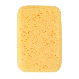 SPONGE REG. - Mobile, AL